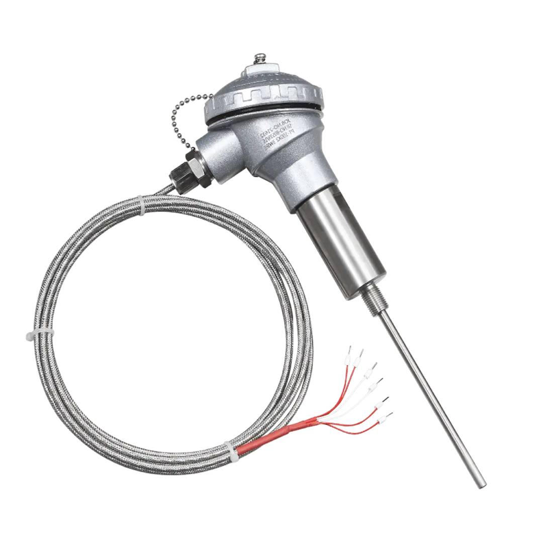 RTD Sensor — Timer, Controllers & Meters supplied by Agnitra Enterprise